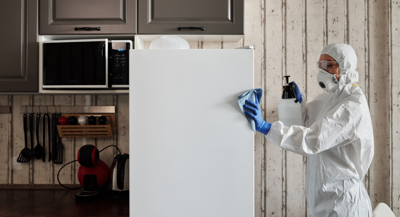 Belfast cleaning company